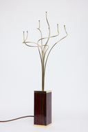 Rosewood & Brass Table Lamp Sculpture