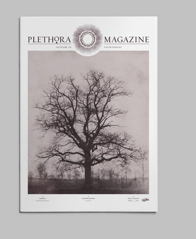 Plethora Magazine Issue #12