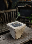 EUNBI Ceramic Planter
