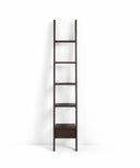 Ladder Bookcase