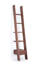 Ladder Bookcase