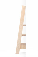 Ladder Bookcase