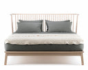 Companions Bed
