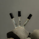 Langdegi (Light) Discovery Set