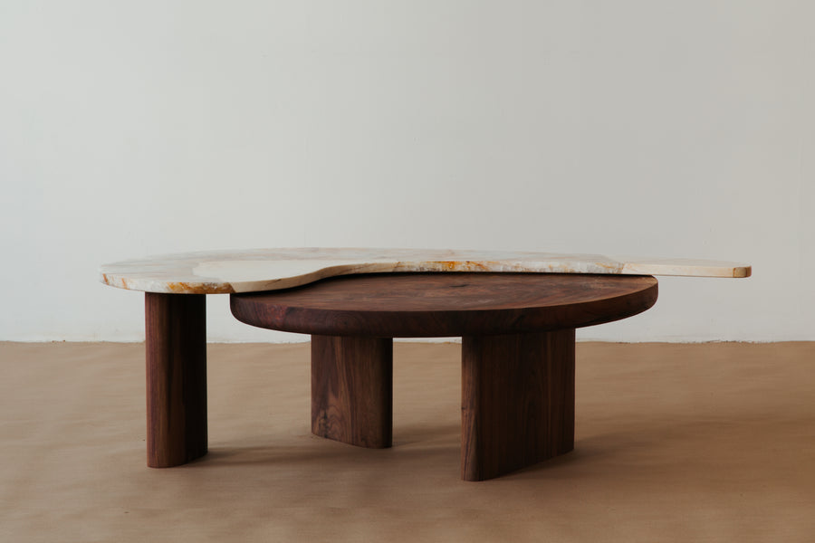 Pina Coffee Table