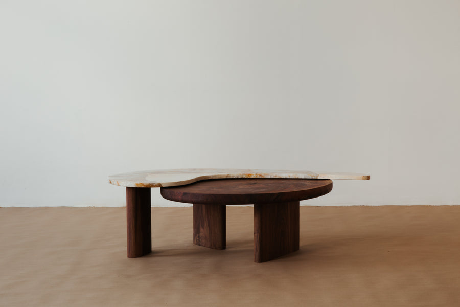 Pina Coffee Table