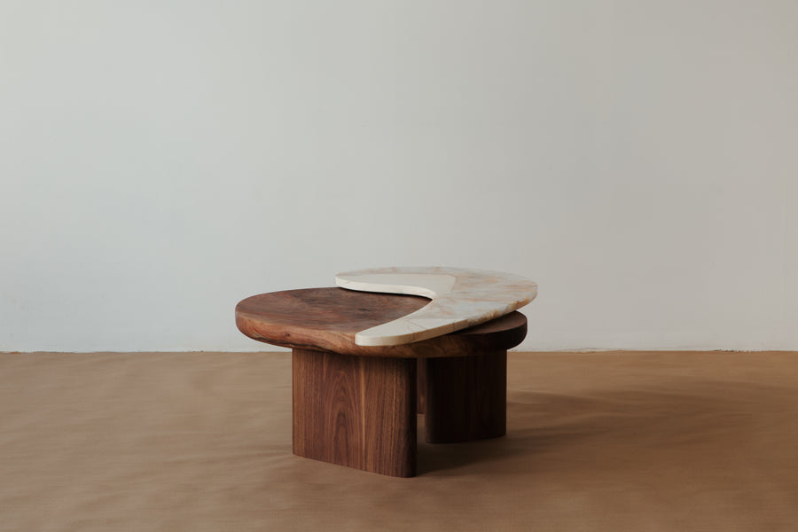 Pina Coffee Table