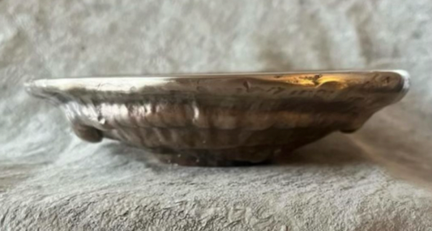 Tree Mushroom Bronze Bowl