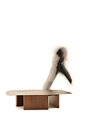 Will Coffee Table