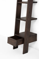 Ladder Bookcase