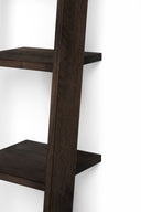 Ladder Bookcase