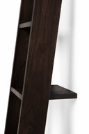 Ladder Bookcase