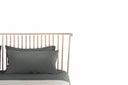 Companions Bed