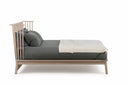 Companions Bed