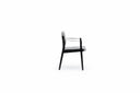 Capo Dining Armchair